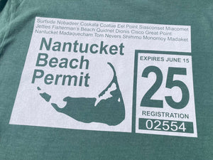 '25 Long Sleeve Nantucket Beach Permit Tee in Sage Green