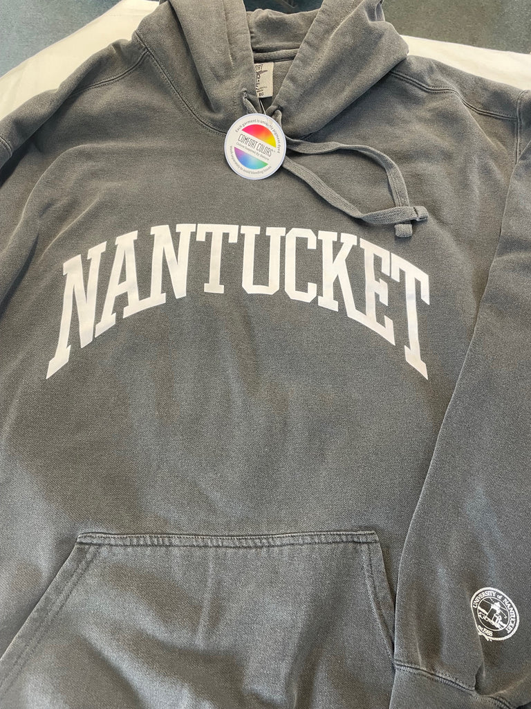 Nantucket Arch Hooded Sweatshirt by Comfort Colors in Pepper