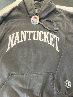 Nantucket Arch Hooded Sweatshirt by Comfort Colors in Pepper